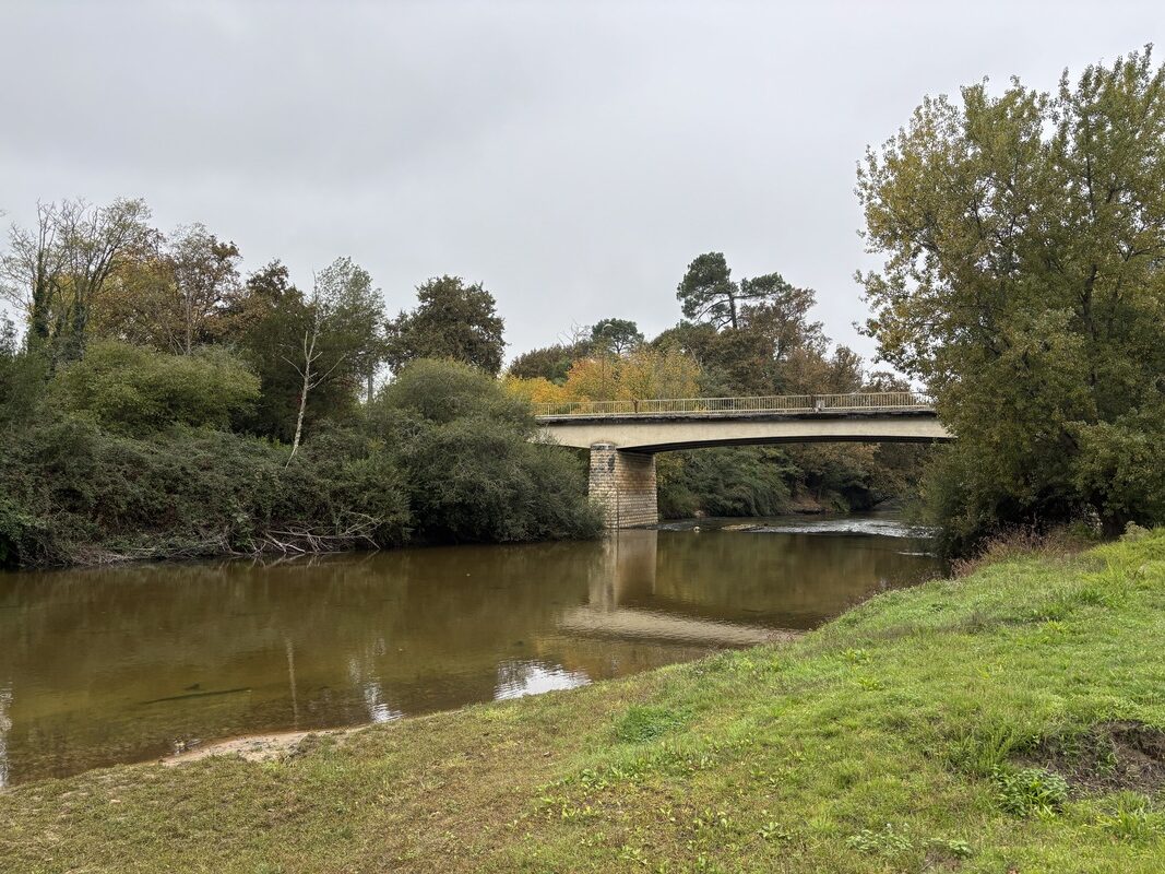 Rivière Eyre à Salles en Gironde