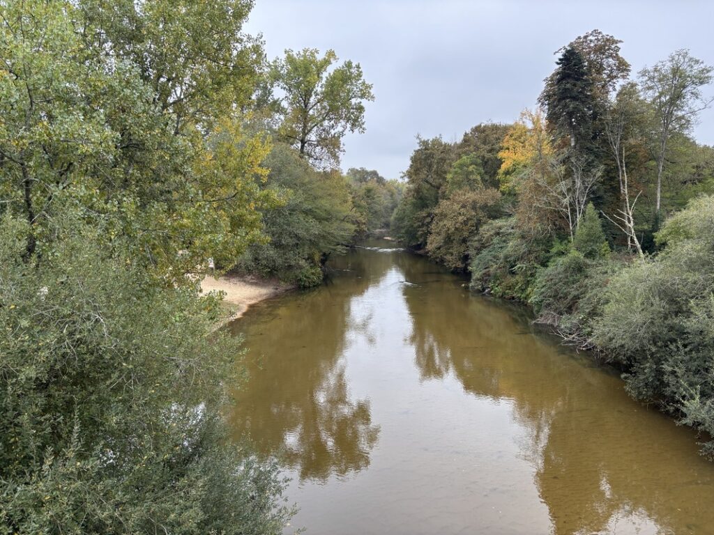 Rivière l'Eyre à Salles